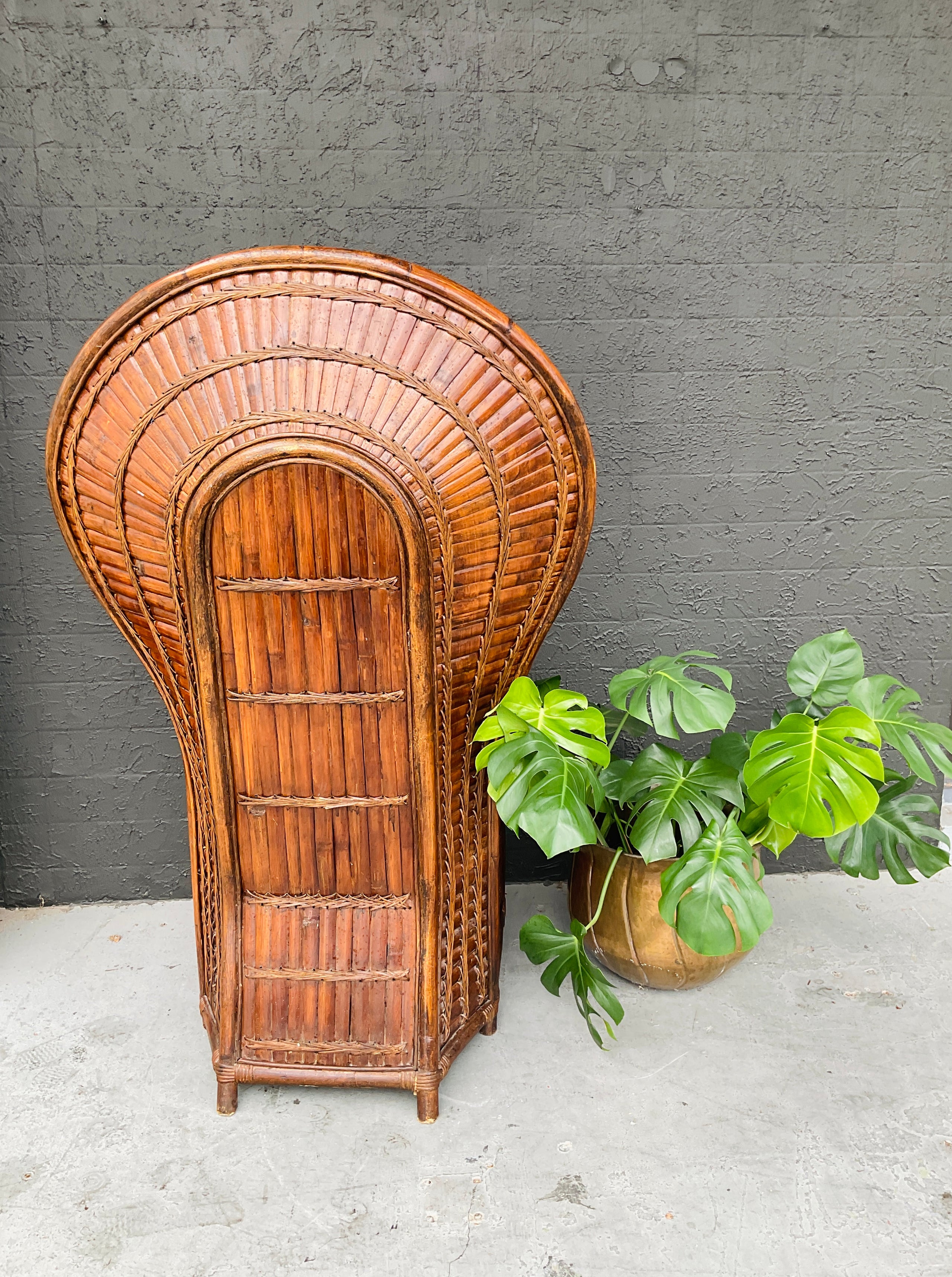 Peacock clearance chair afterpay